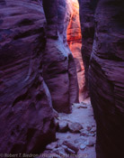 Silent Passage, Wire Pass, Vermillion Cliffs National Monument, Utah (4x5)